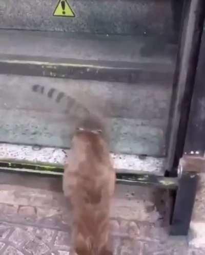 Agent tactical insertion on espionage mission