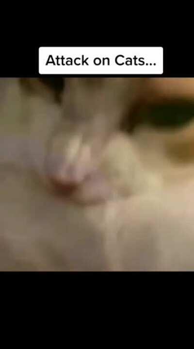 Hope no one has posted this yet