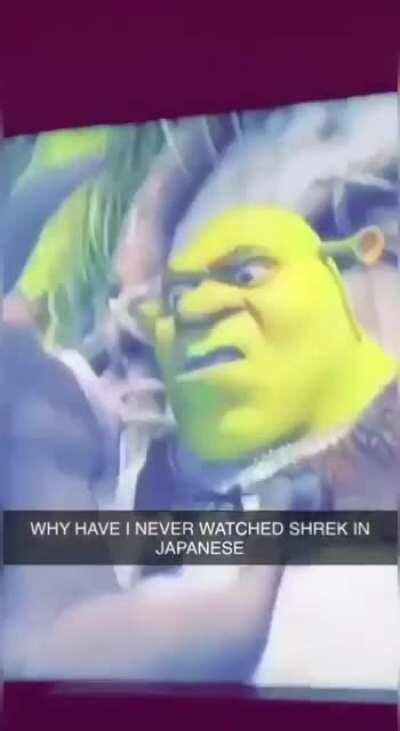 シュレグ ハス スヴァグ