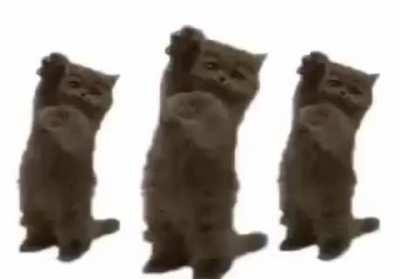 La mente de la pecky cuando el cristian le da hierba xd (resubido porque el cristian no lo vio completo 😡)