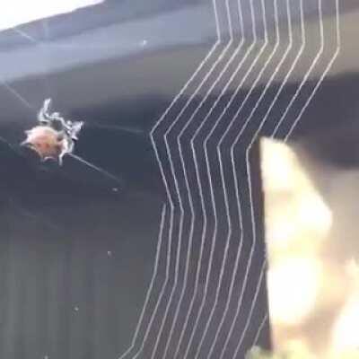 Nature has its own beauty