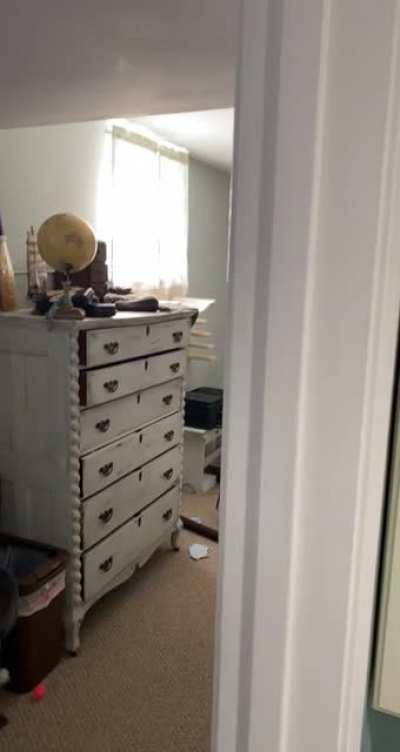 That’s not flying; it’s falling with style.