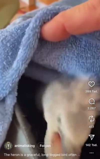 Ain’t that the guy from the new Ghibli movie?