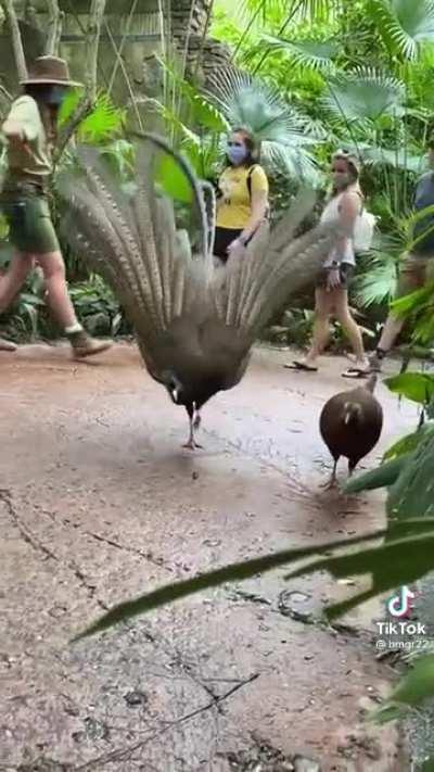 She just isn’t that into him…