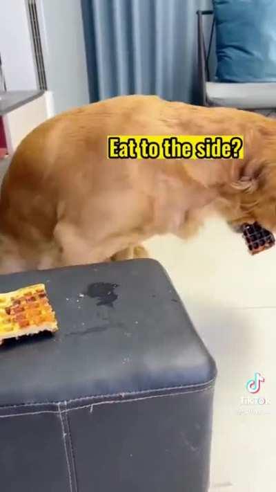 what a genius😭😭😭