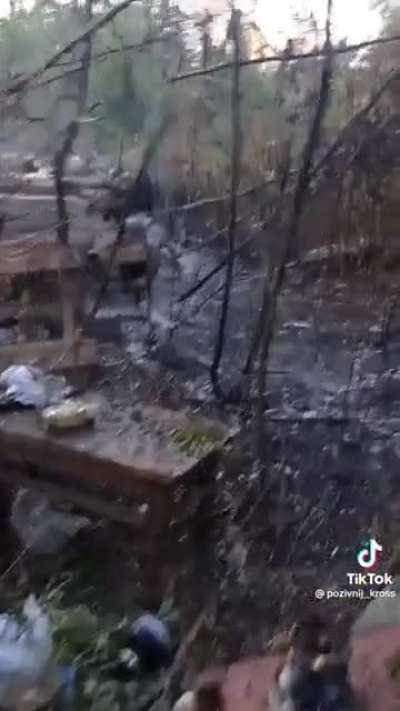 UA pov: results of incendiary artillery on Ukrainian position