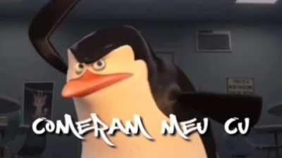 Voltei com meus shitpost incríveis pra vcs roubarem 👌