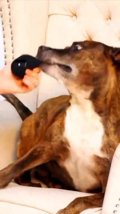 Interviewing a faithful friend