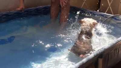 Got taken down on /aww because of 