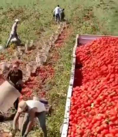 Gravity, acceleration, friction, thermodynamics, vector force, momentum all in one