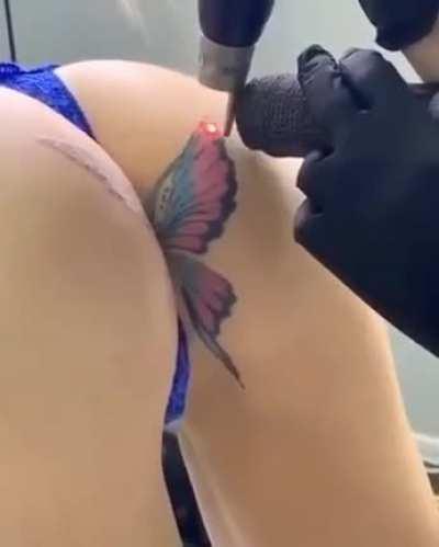 Lepidopterology, the study of butterflies