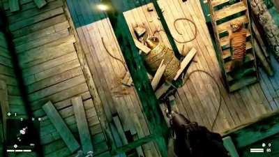 Oh Yeah... I Forgot They Were Cats