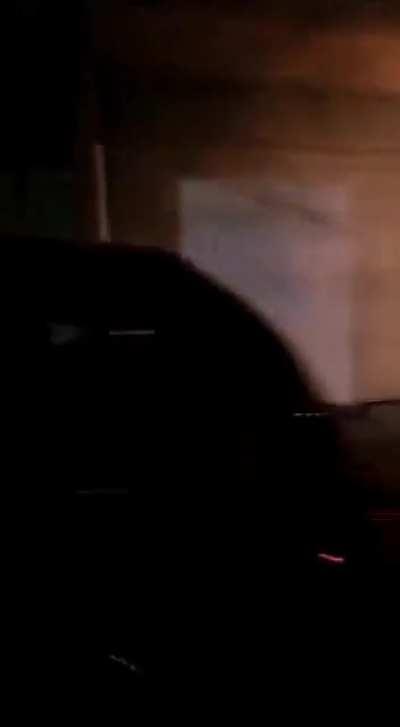 Difunden imágenes en las que se ve un perro llevando cabeza humana, se presume que ocurrió en Zacatecas