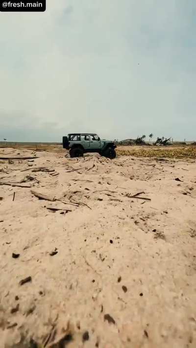 Creativity is just intelligence having fun