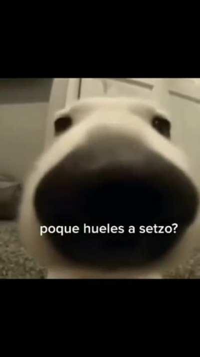 Bro es septiembre bro