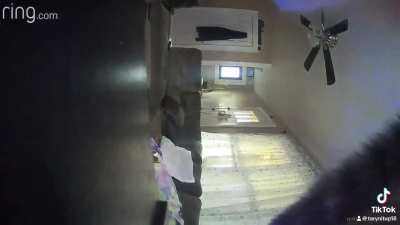 At least the Xmas tree was spared (for now…) 🎄😼