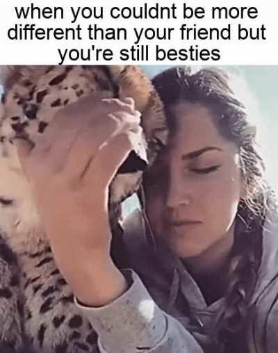 when you find that purrrfect friend!