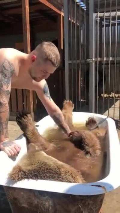 lan çok tatlı bir ayıcık