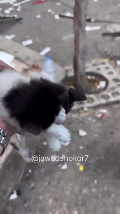 May Allah protect our brethren and grant them victory against the oppressors.