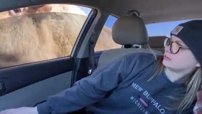 National parks are fun