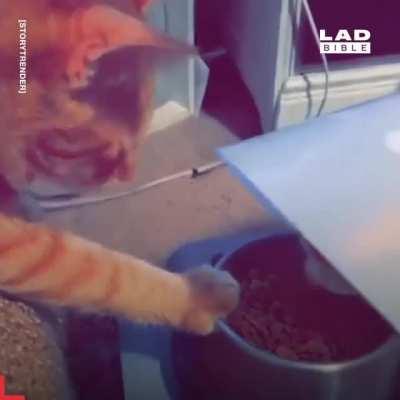 He gets by with a little help from his friends.