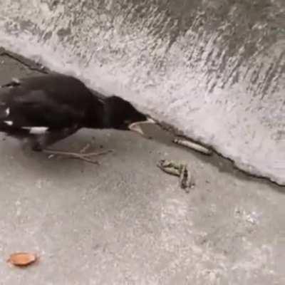 Anna's life with Jonathan had been luxurious and worry-free, and it was all she had ever known. After an unexpected betrayal, it left her alone on the streets, realizing that the life outside her bubble was not as trivial and spoon-fed as before.