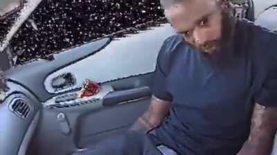 just an ordinary seal