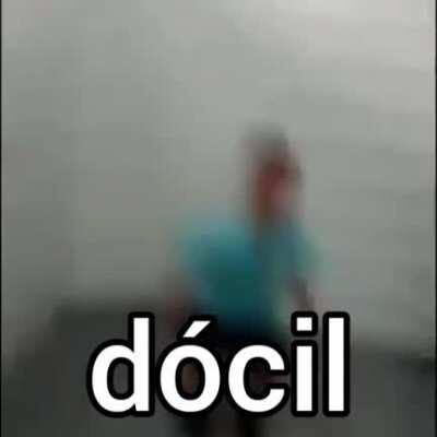 Dócil nomás