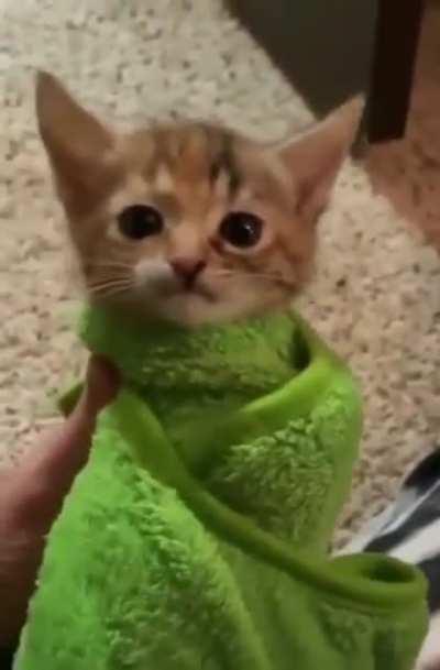 Scream of ƬΉΣ ӨᄂD ӨПΣƧ