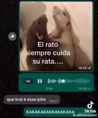 el lobo siempre cuida su loba 2