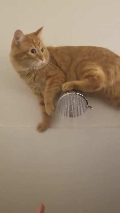 Checking the water temp