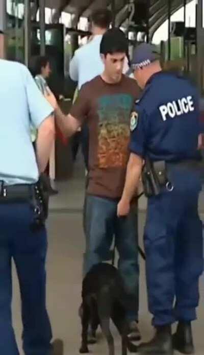 Qual foi dogão! Vai ficar explanando?