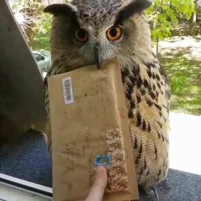 Hogwarts Letter Finally Arrived