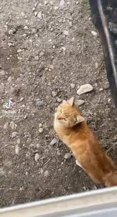 He probably said something offensive idk