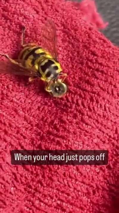 Will it bee okay?