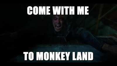 To monkey land