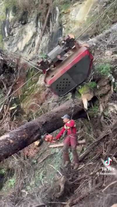 Hoffentlich kein repost 