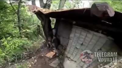 Azerbaijani soldiers finish off wounded Armenian soldiers with coup de grâce shots to the head during the offensive in Nagorno-Karabakh (September 2023)