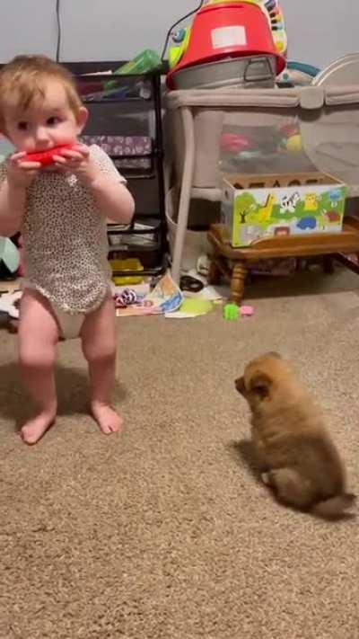 Baby and puppy, an adorable duo ☺️