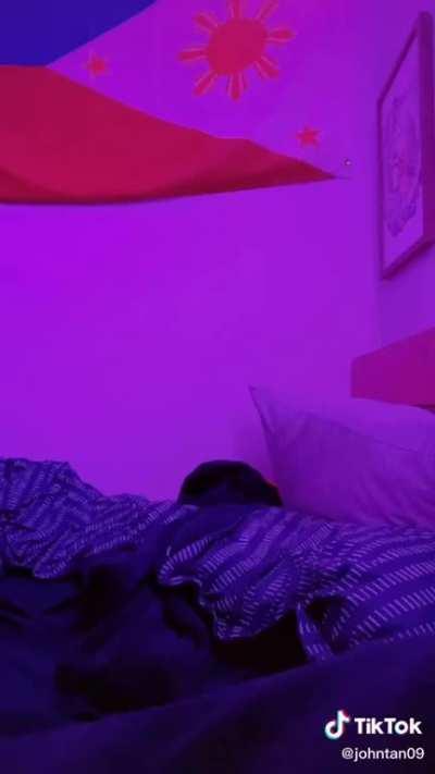 I saw this on tik tok and it made me scream