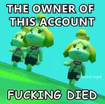 I died go to isbell middle school to find my body