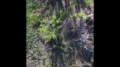 Ukrainian drone strikes and drops on Russian infantry north of Sumy. June 2025