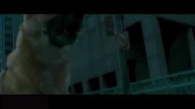 Корона момент