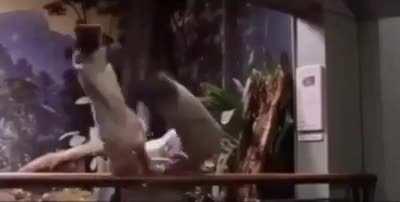 If Harry Potter Was American....