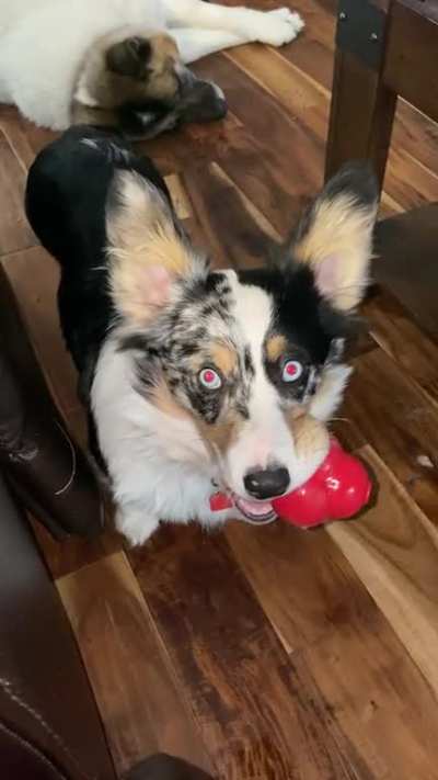 Tucker talking some serious smack:)