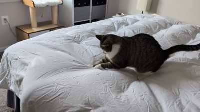 She's such a fierce hunter!