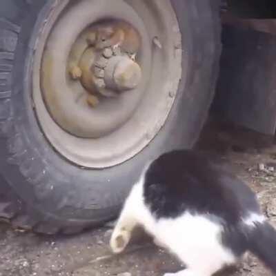 Claudette players be like...