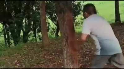 Someone requested this weird clip synched to Jambi so here it is