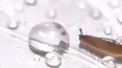 feel so clean like a zabloing machine