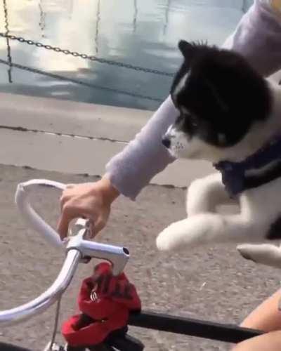 Swim exe needs some work